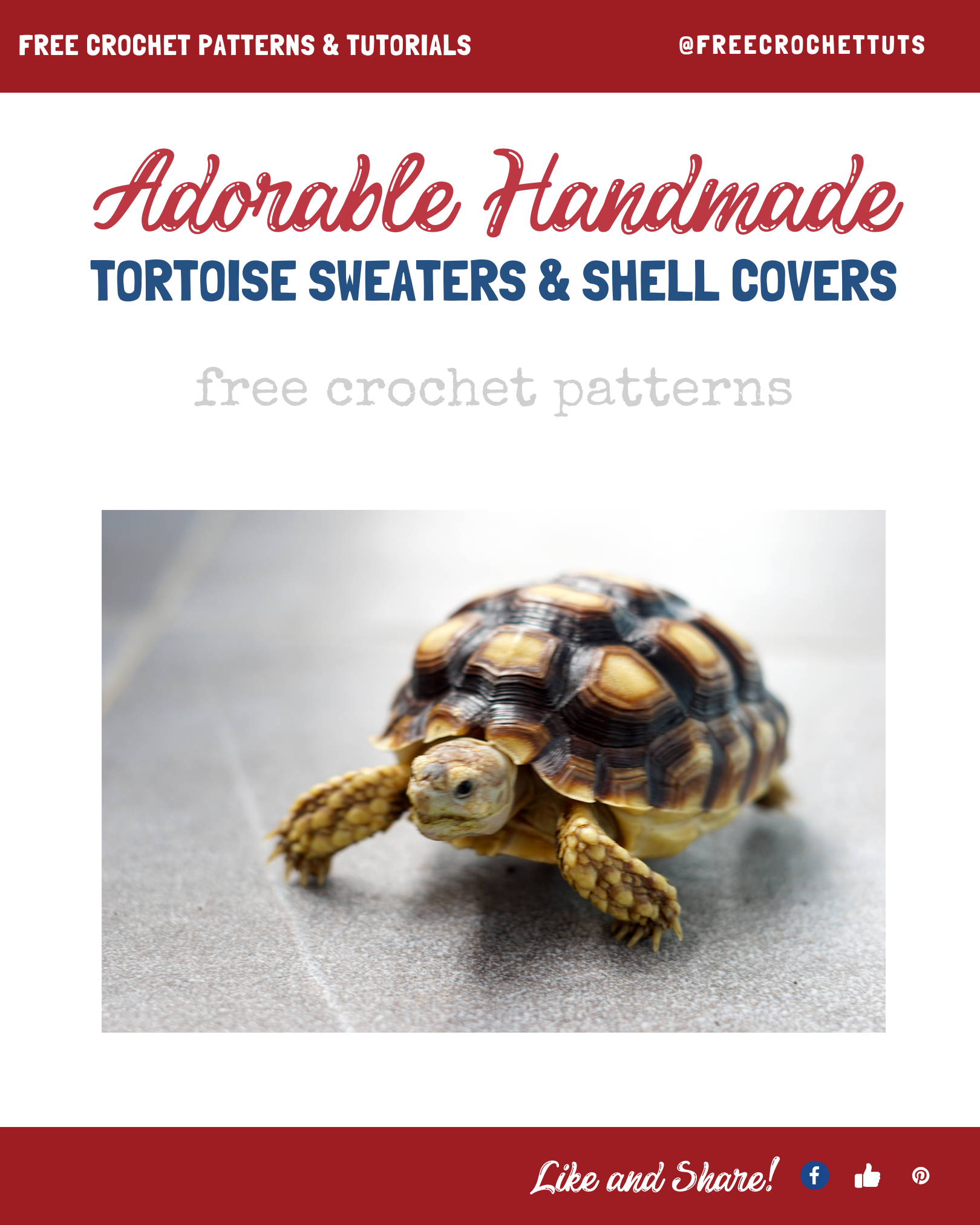 Try these adorable free crochet patterns for turtle sweaters and tortoise cozies! Includes Bowser, hexagon jumpers, dinosaur styles + more! #crochet #crochetlove #freepattern #turtlecozy #turtlesweater #tortoisejumper #crochetlife #cutepets