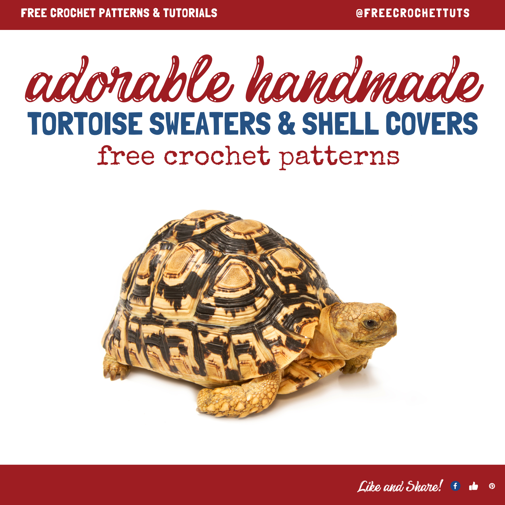 Crocheted Tortoise Cozy Patterns (Turtle Sweaters & Jumpers)