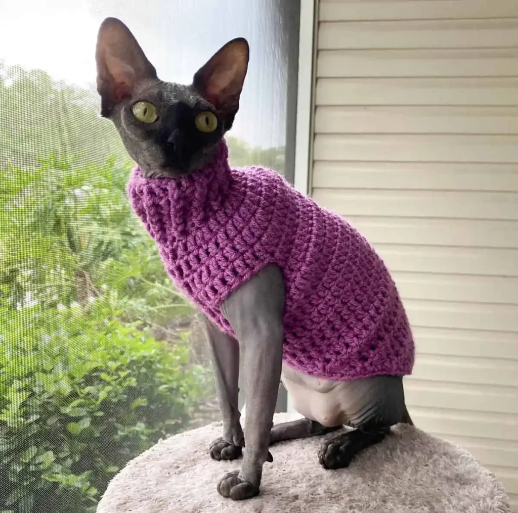 This adorable Crochet Cat Sweater was designed by Cheryl of Crochet 365 Knit Too, for her nieces cat Moon. This sweater fits a small 7 pound hairless Sphynx Cat. Notes are included to size this for other cats. This was crocheted with Worsted Weight Yarn [4] and a 4 mm (G) crochet hook.