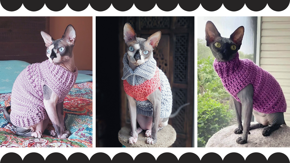 Find free crochet cat sweater patterns your kitty will love. Cute styles, warm fits, and helpful videos to make winter cozy.